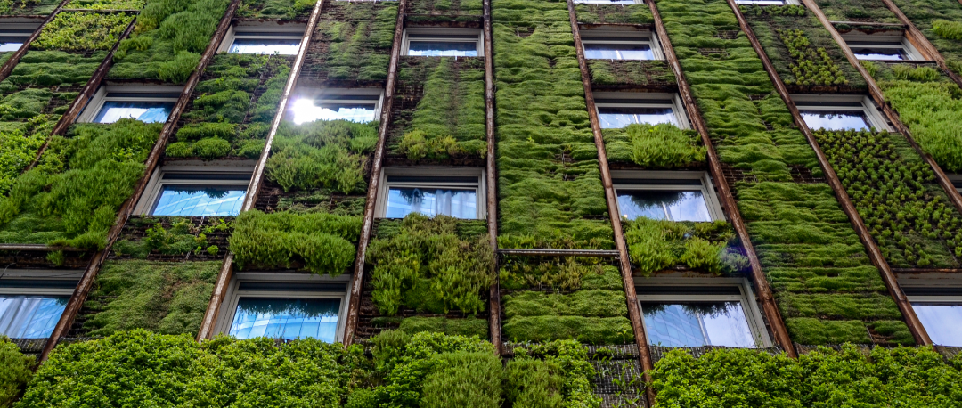 Webinaires – RE 2020 : présentation des seuils et études de cas