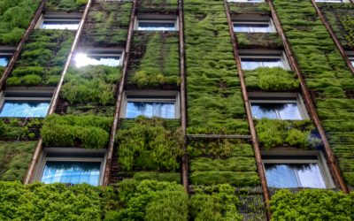 Replay :  5 jours pour mieux appréhender la RE 2020