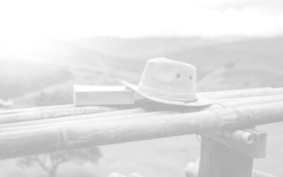 Groupe LORIOT : fermeture estivale